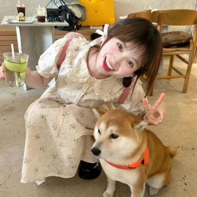 我心愚钝